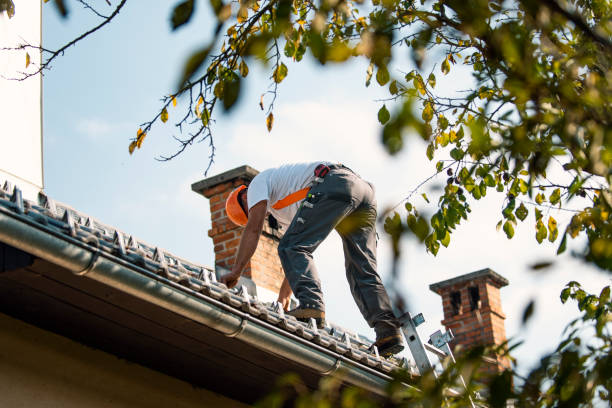 Best New Roof Installation  in Newberry, MI