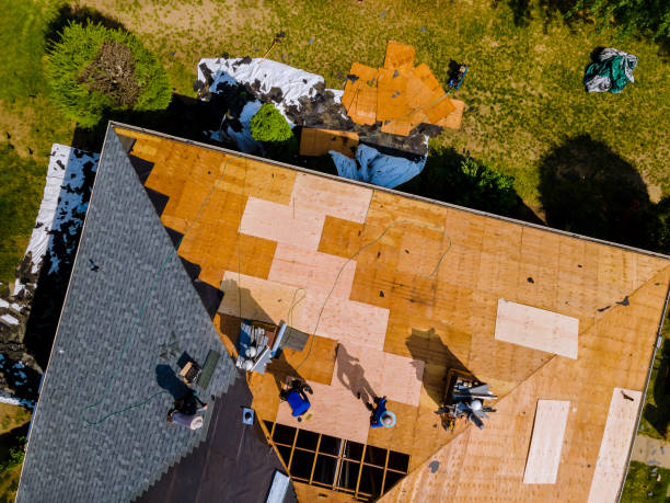 Best Roof Repair Services  in Newberry, MI