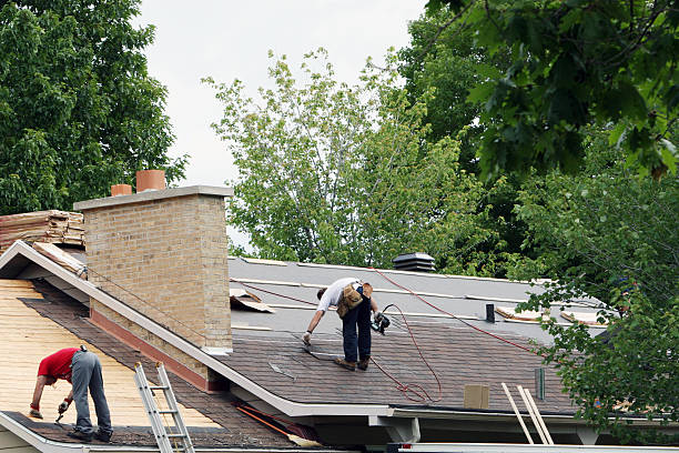 Best Residential Roofing Contractor  in Newberry, MI