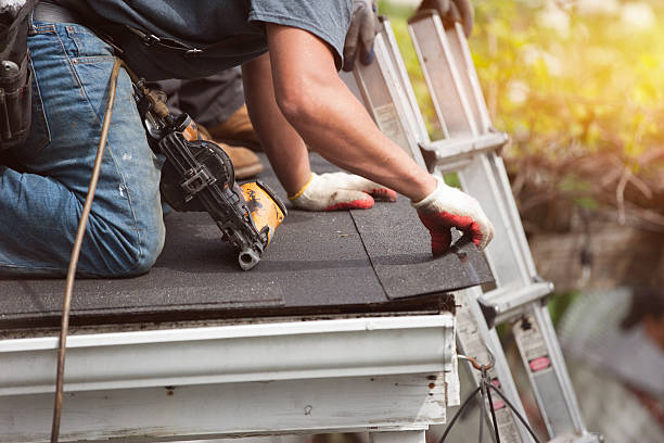 Best Roof Replacement Cost  in Newberry, MI