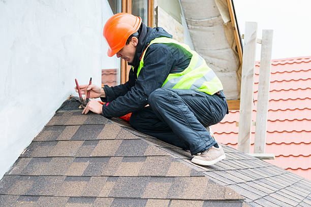 Best Roof Restoration Services  in Newberry, MI