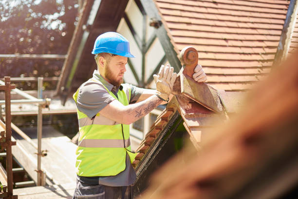 Best Local Roofing Companies  in Newberry, MI