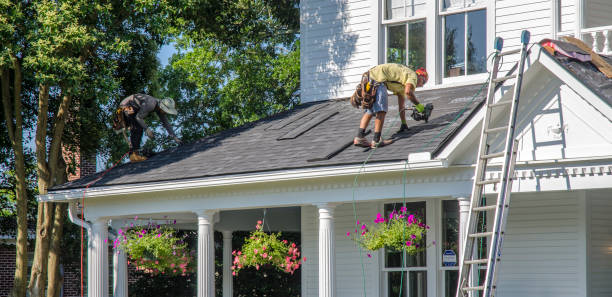 Best Roof Leak Repair  in Newberry, MI